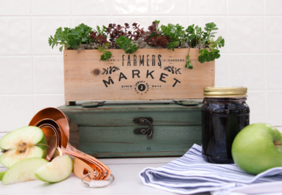 Farmers Market Wood Trough Succulent Garden-image