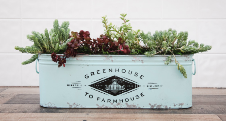 Farmhouse Tin Trough Succulent Garden-image