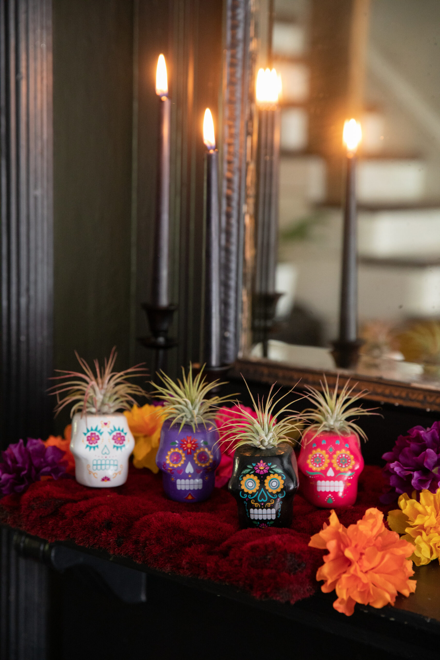 Day of the Dead Tillandsia Planter-image