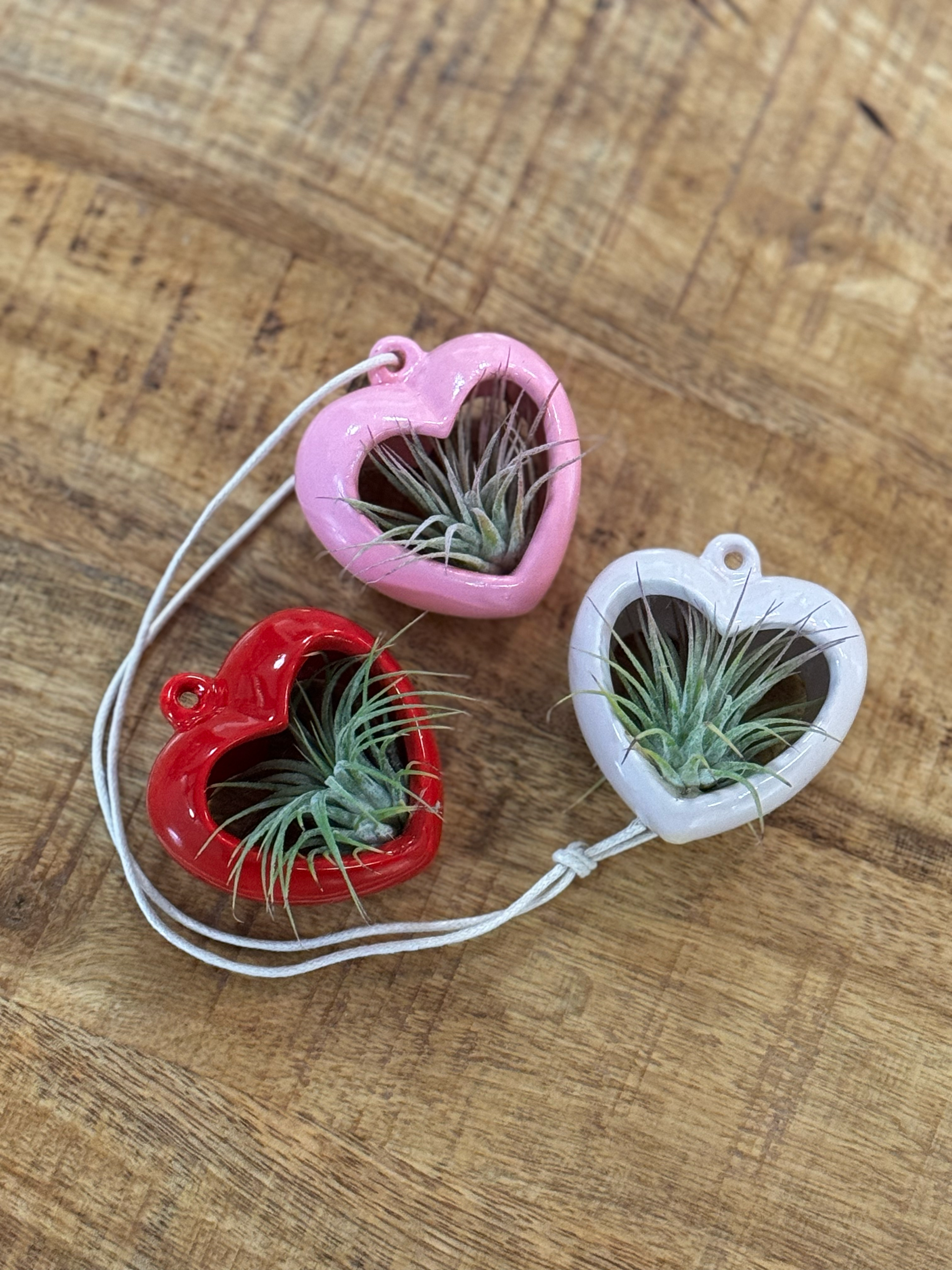 Love Pendant Hanging Tillandsia Planter-image