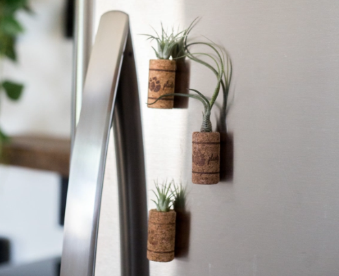 Magnetic Wine Cork Tilly Planter-image