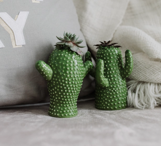 Quirky Cactus Succulent Planter-image