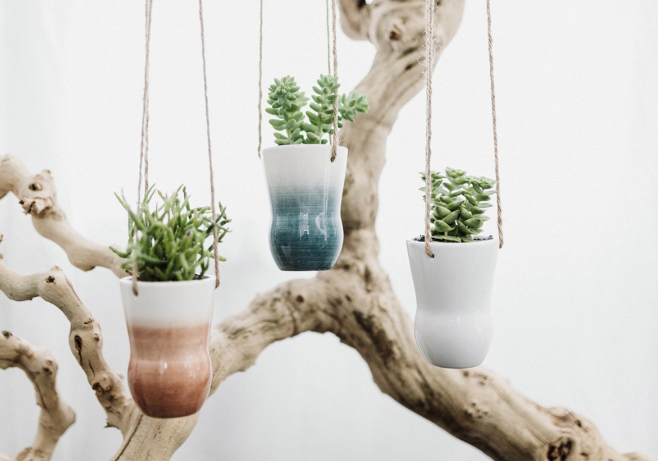Color Washed Hanging Succulent Planter-image