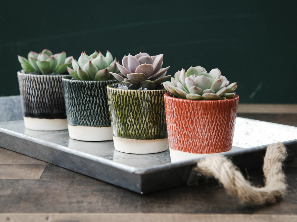 Etched Succulent Planter-image