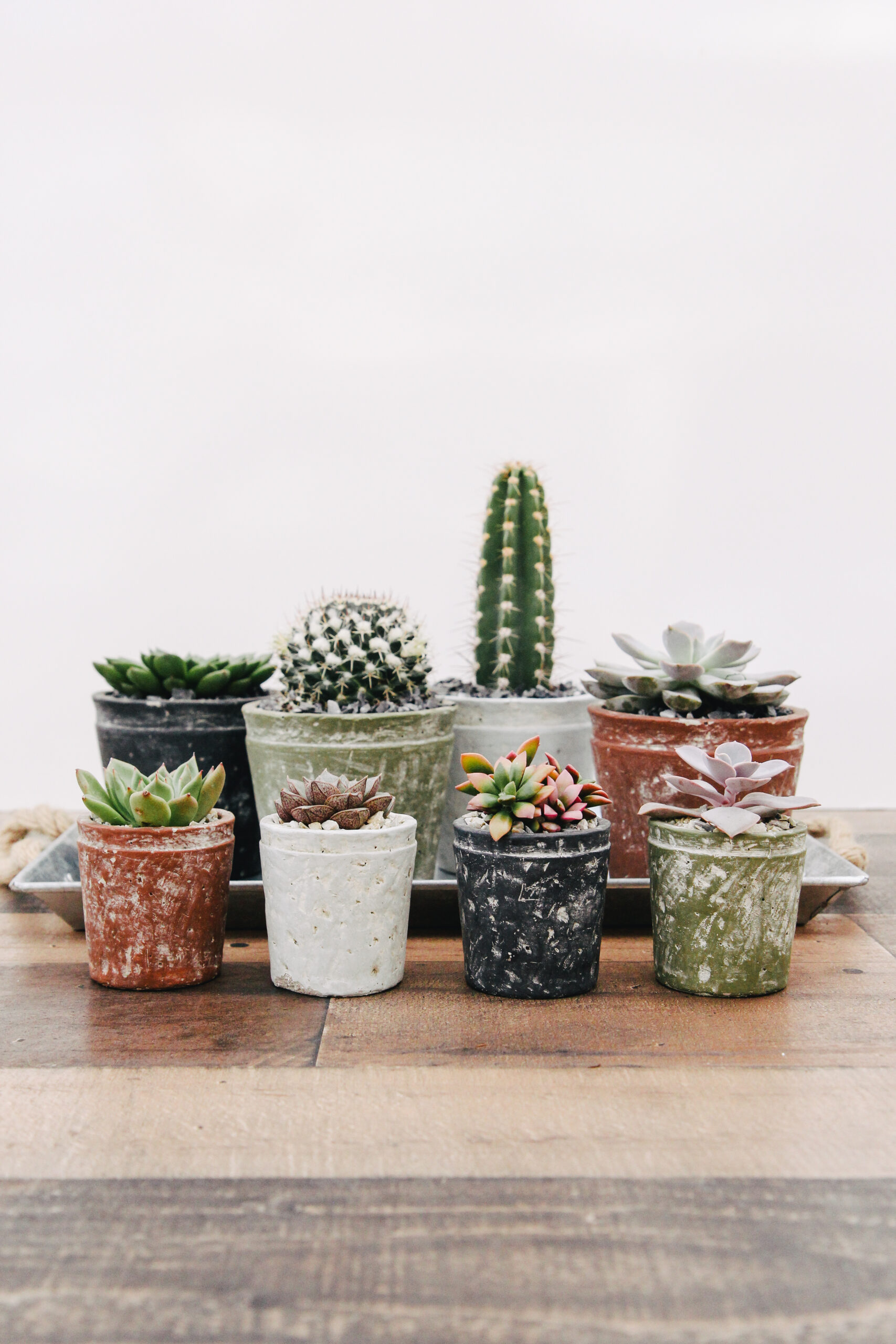 Linen Wrapped Succulent Planter-image