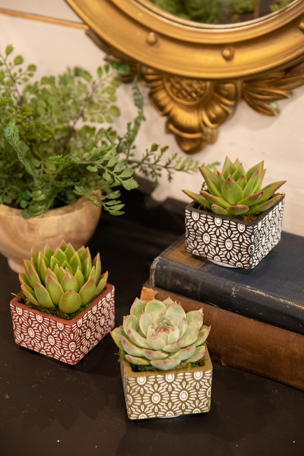 Abstract Engravings Succulent Planter-image
