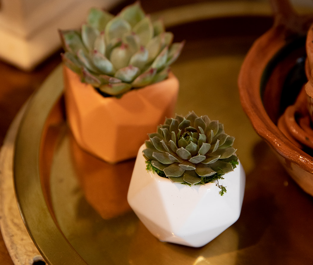 Assorted Geometric Succulent Planter-image