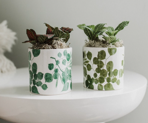 Botanical Print Succulent Planter-image
