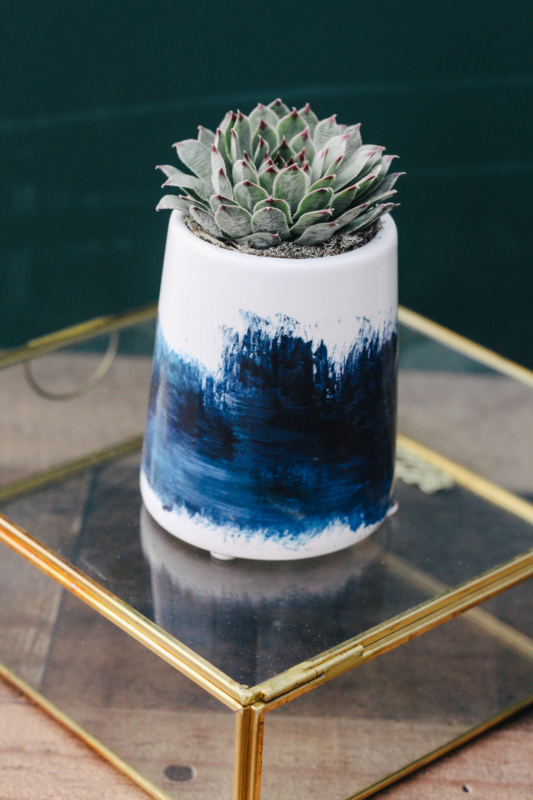 Brushstroke Succulent Planter-image