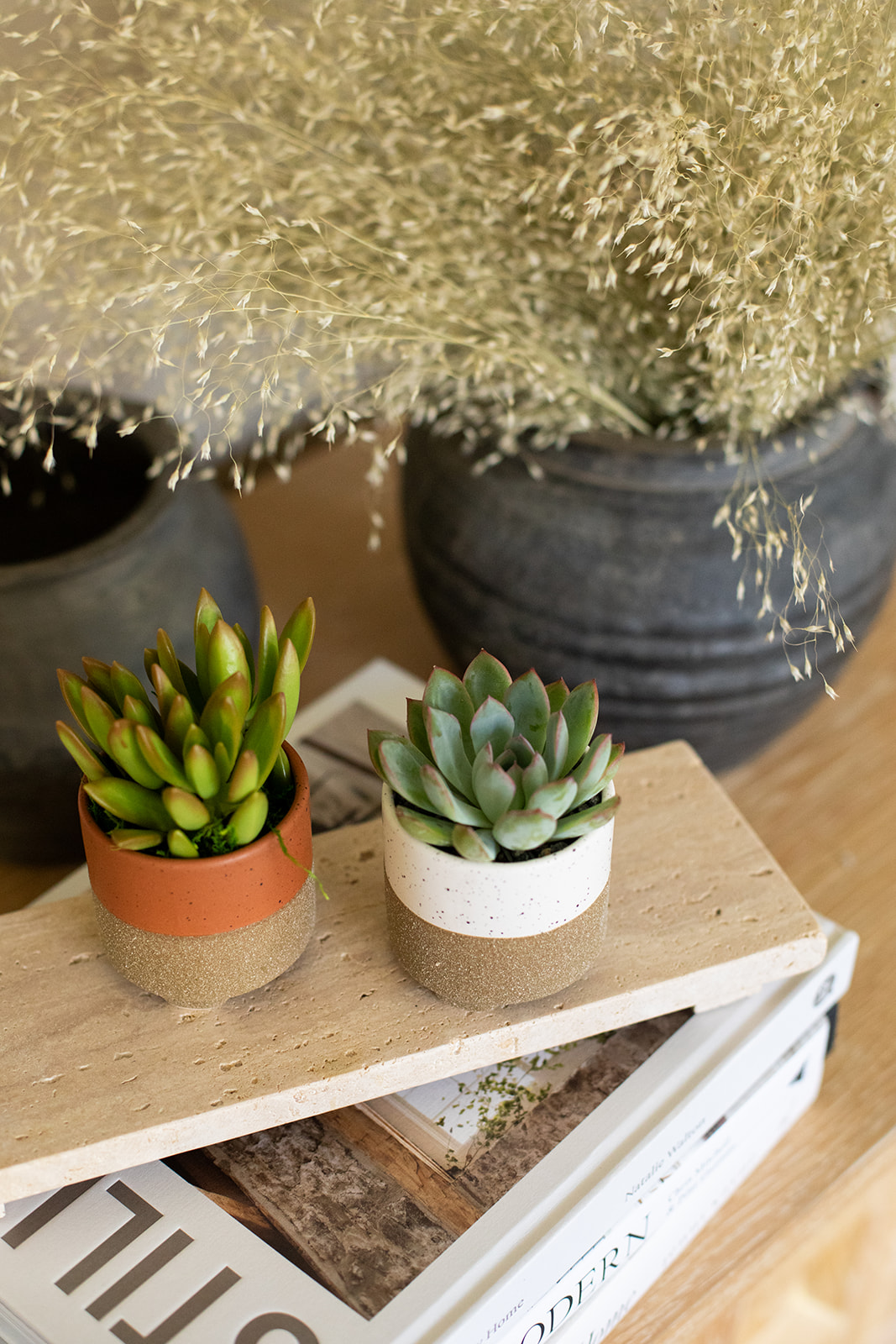 Coastal Cadence Succulent Planter-image