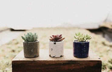 Distressed Dolomite Succulent Planter-image