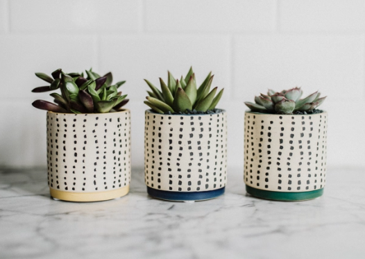 Dotted Succulent Planter-image