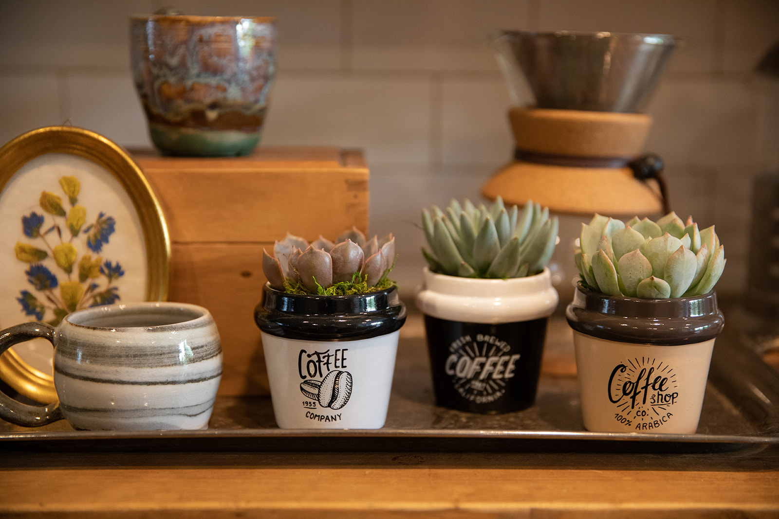Double Shot Succulent Planter-image