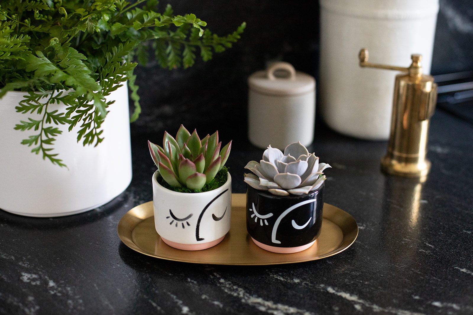 Faces of Nature Succulent Planter-image