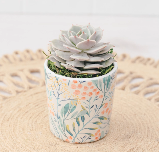 Floral Printed Succulent Planter-image
