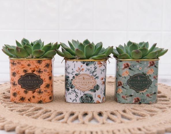 Floral Tea Tin Succulent Planter-image