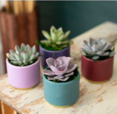 Gemstone Hues Succulent Planter-image