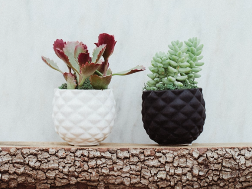 Geo Chic Succulent Planter-image