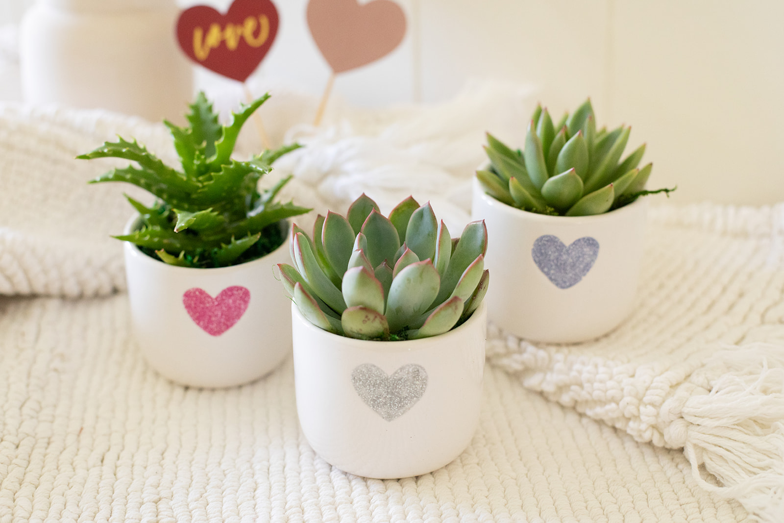 Glisten to Your Heart Succulent Planter-image