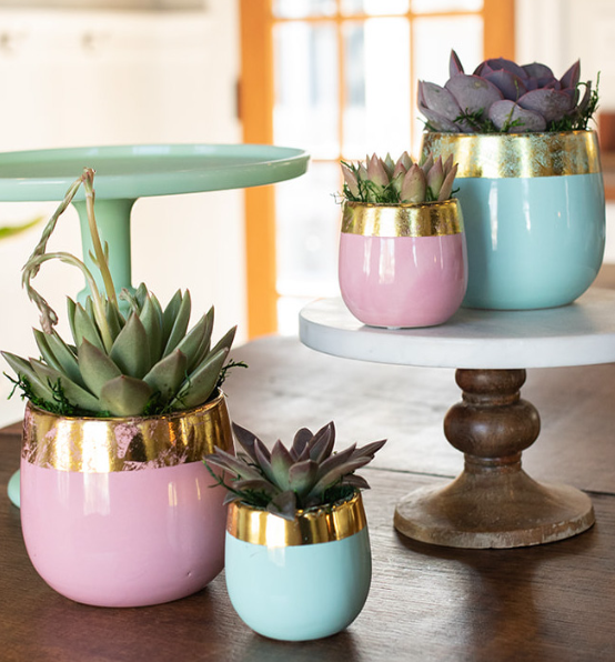 Gold Leaf Succulent Planter-image