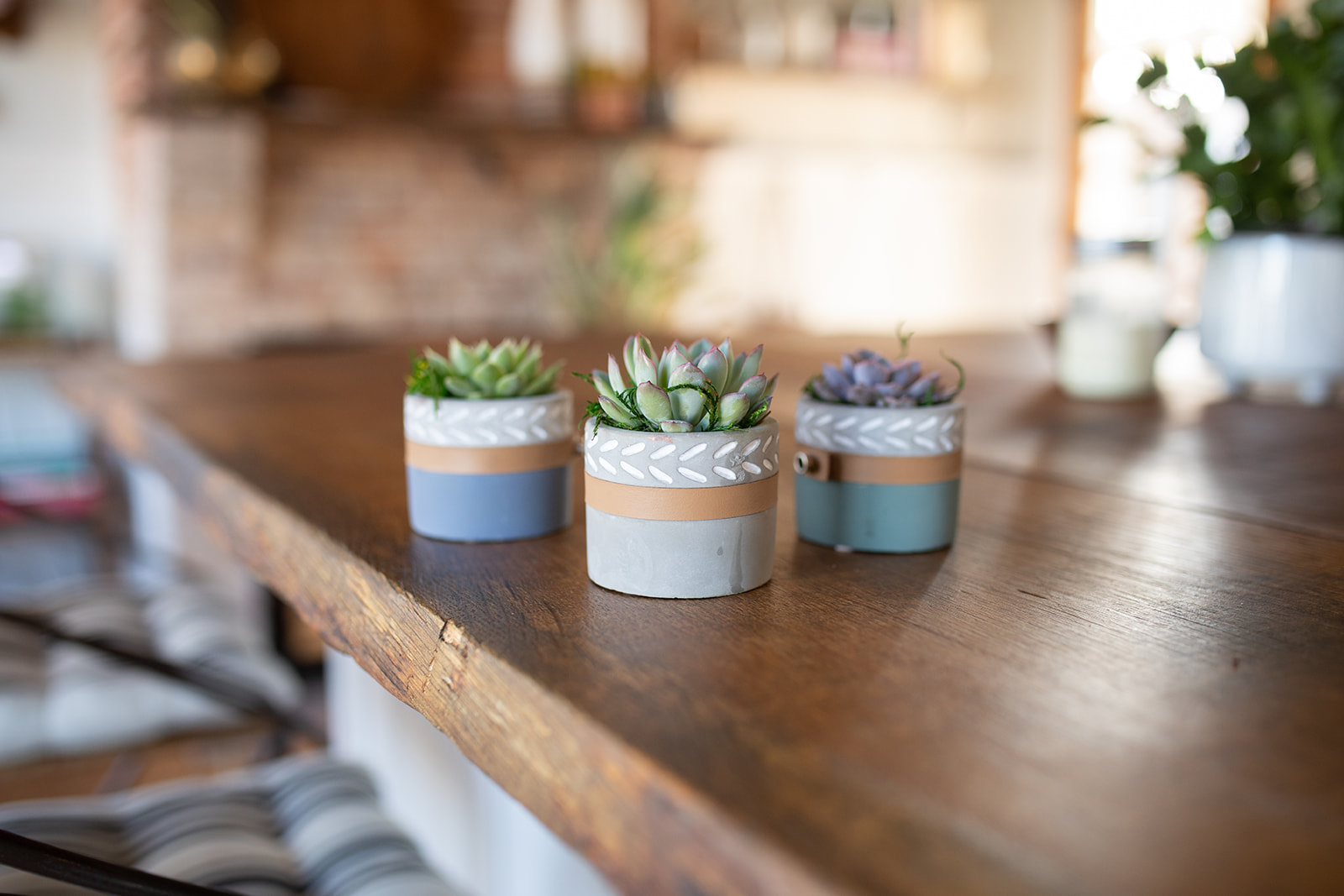 Herringbone Accent Succulent Planter-image