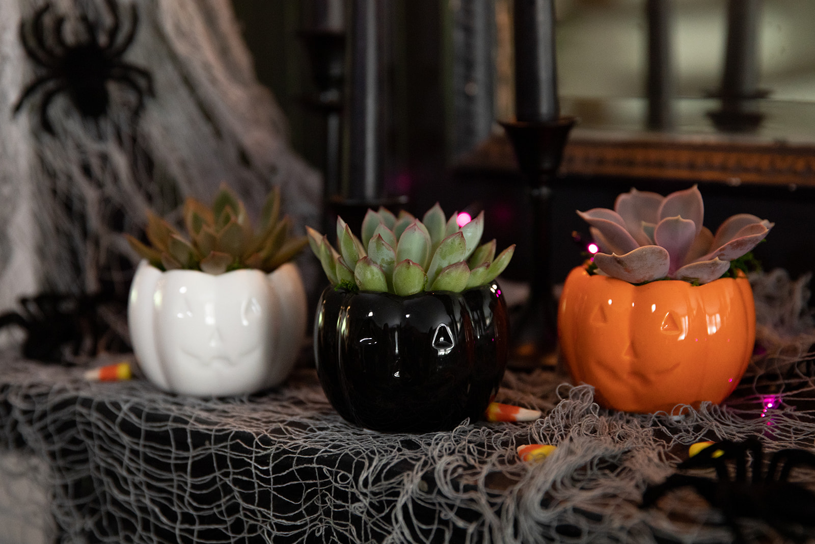 Hocus Pocus Succulent Planter-image