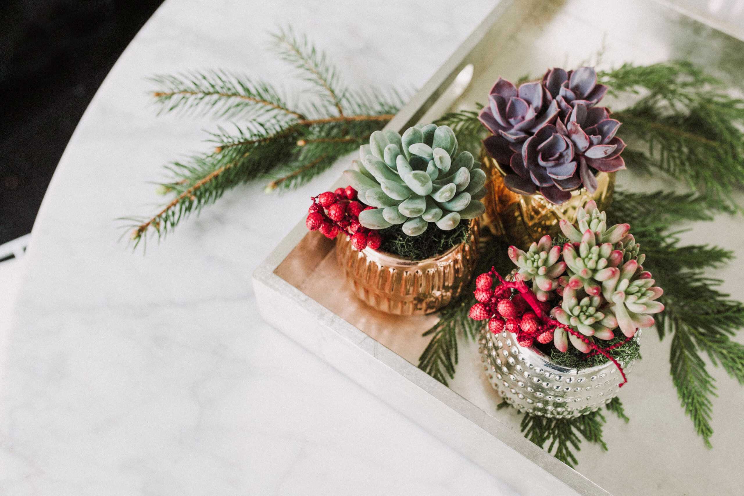 Holiday Metallic Succulent Planter-image