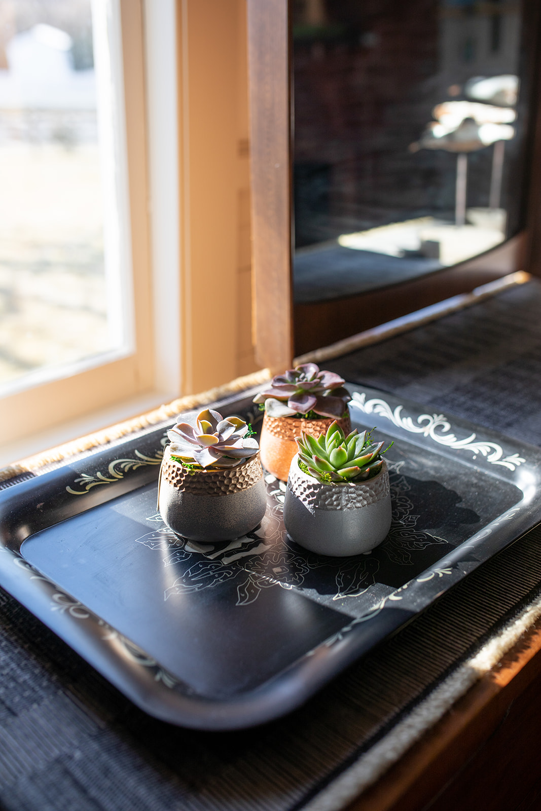 Iridescent Moonstone Succulent Planter-image