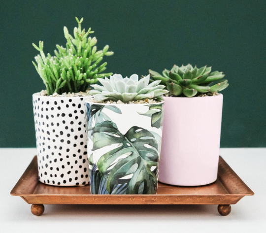 Moody Nature Succulent Planter-image