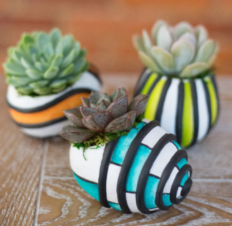 Raku Scallop Succulent Planter-image