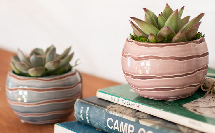 Rippled Wave Succulent Planter-image