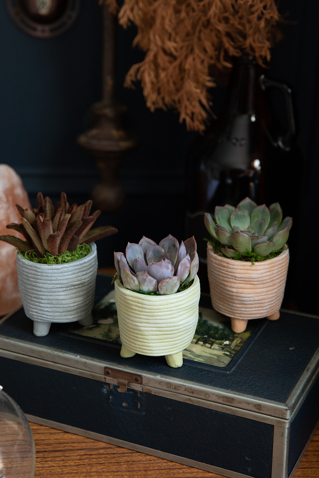 Sculpters Stand Succulent Planter-image