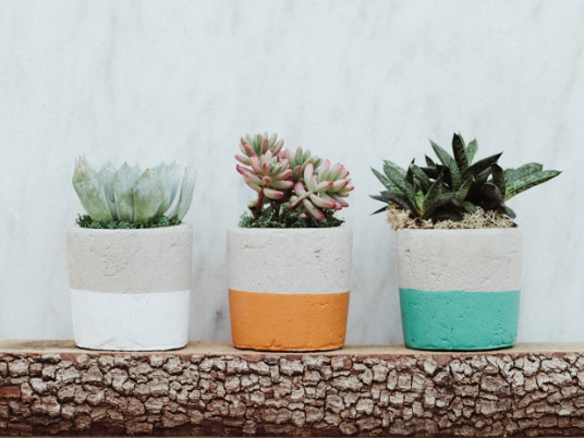 Urban Edge Succulent Planter-image