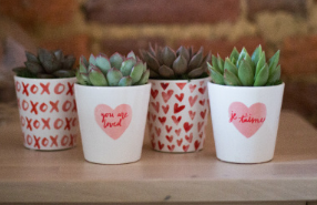 Valentine's Day Message Succulent Planter-image