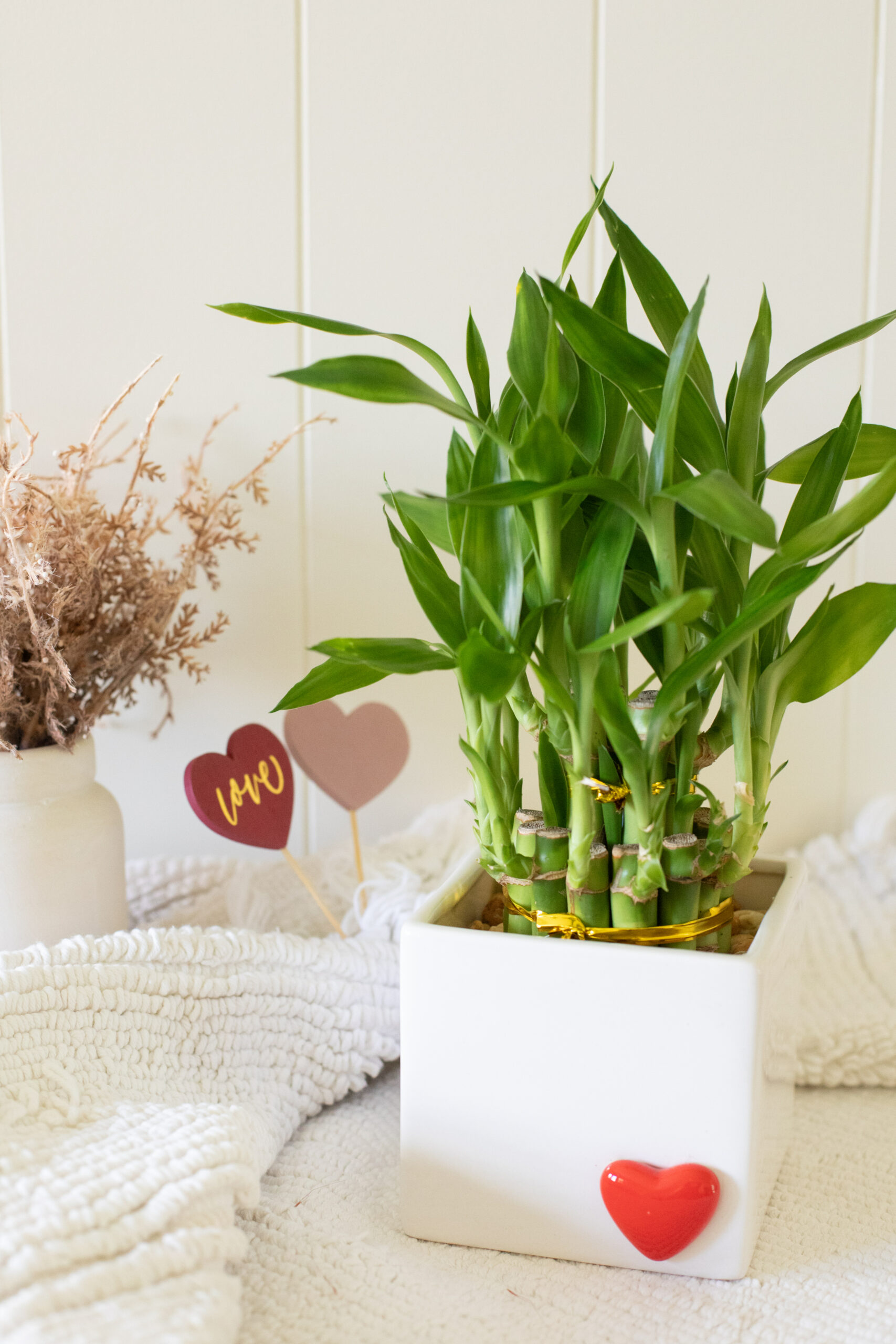 Always Together Bamboo Planter-image