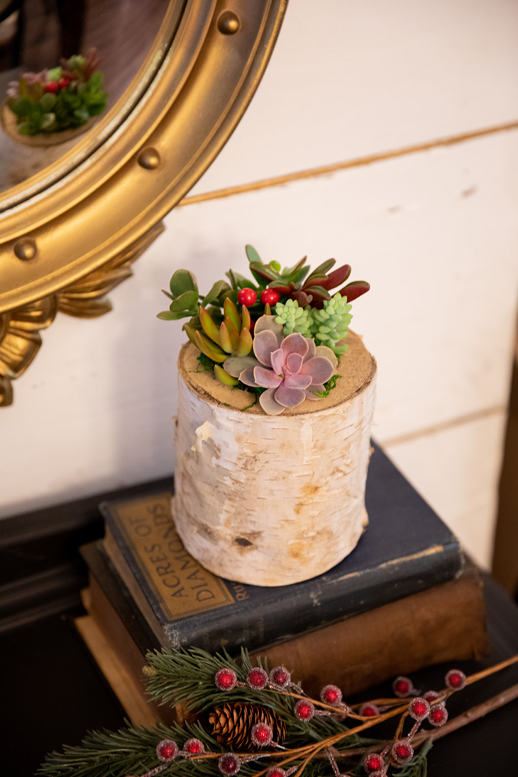 Birch Log Succulent Garden-image