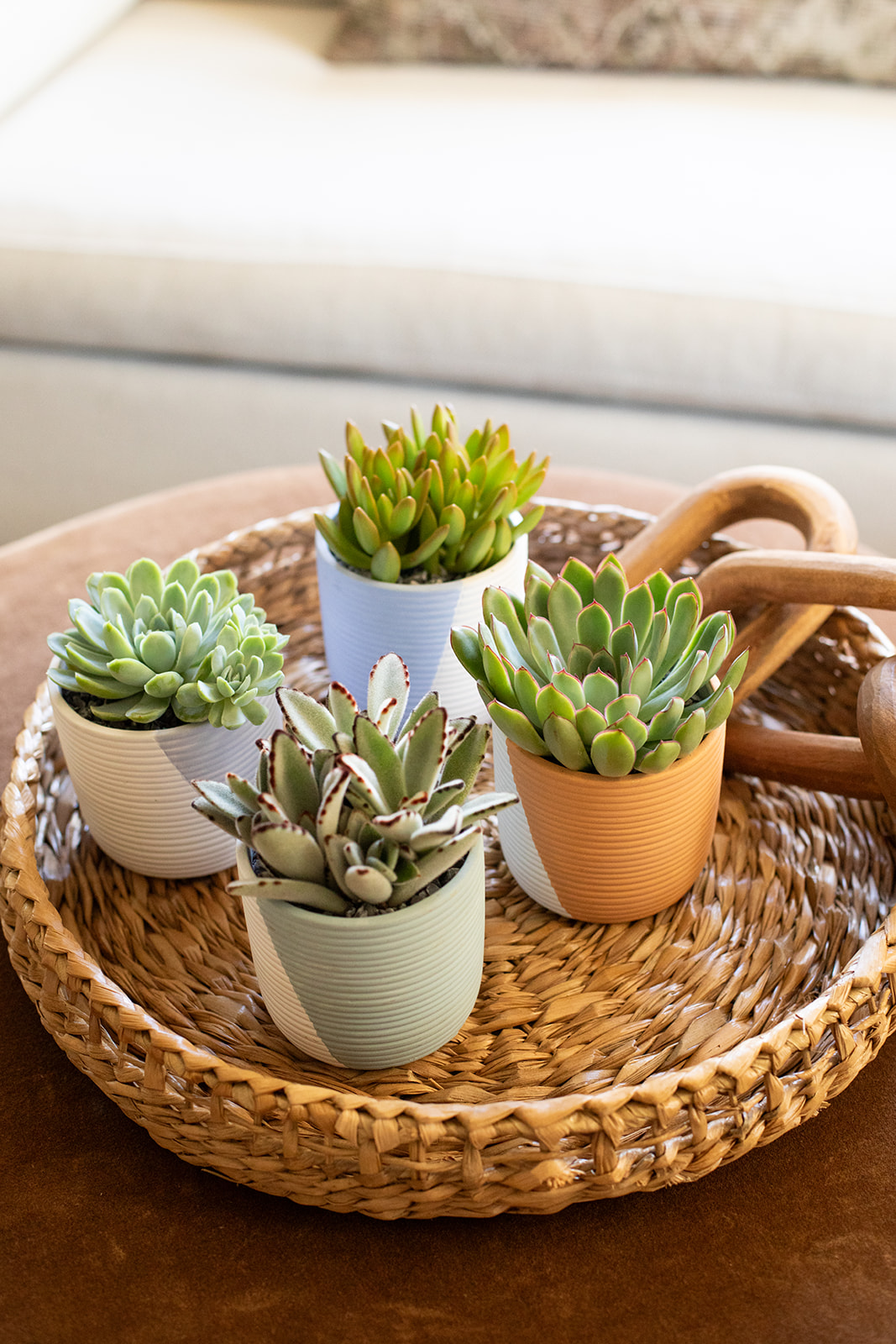 Color Block Succulent Planter-image
