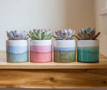 Colorful Ombre Succulent Planter-image