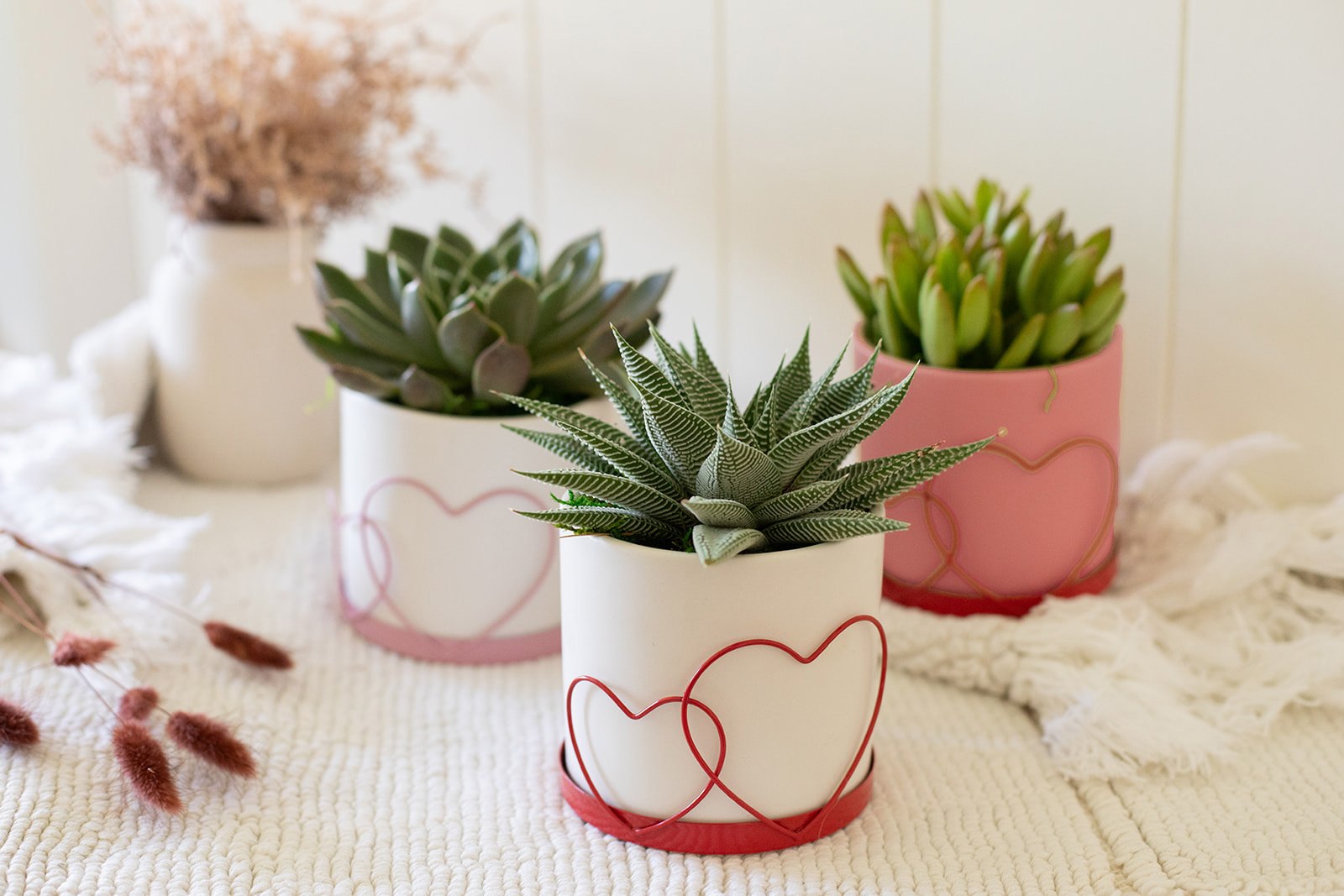 Colors of Love Succulent Planter-image