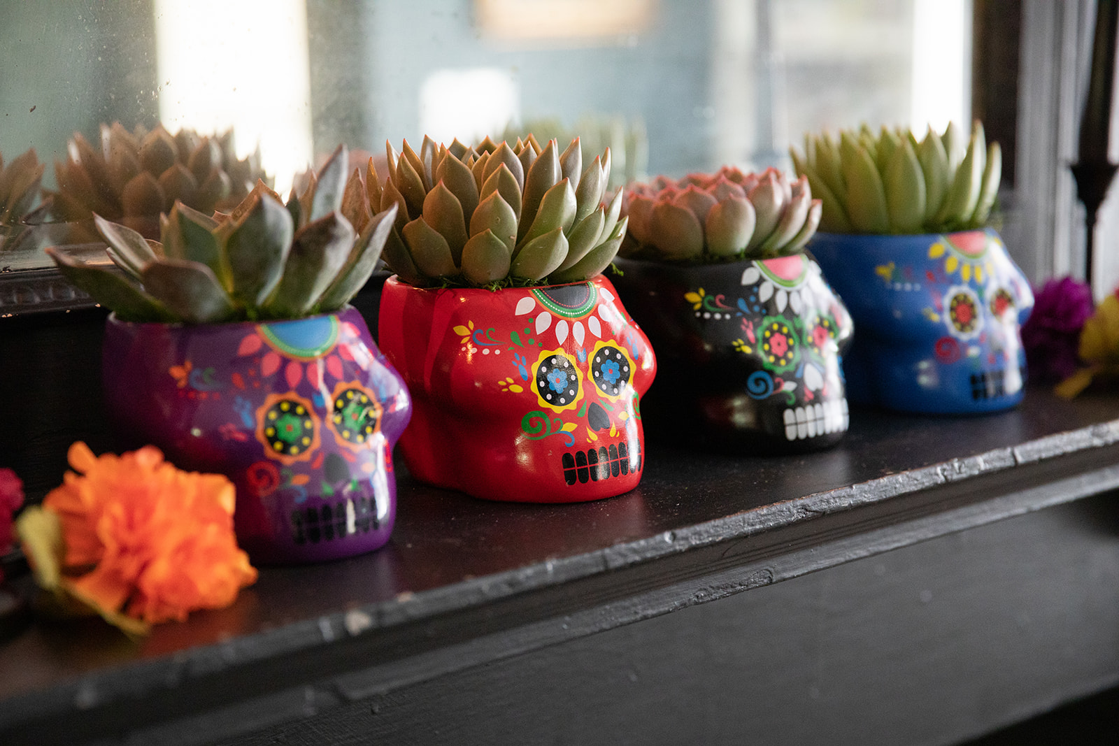 Day of the Dead Succulent Planter-image