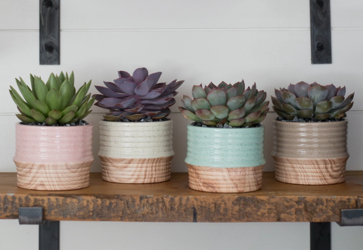 Drip Glaze Succulent Planter-image