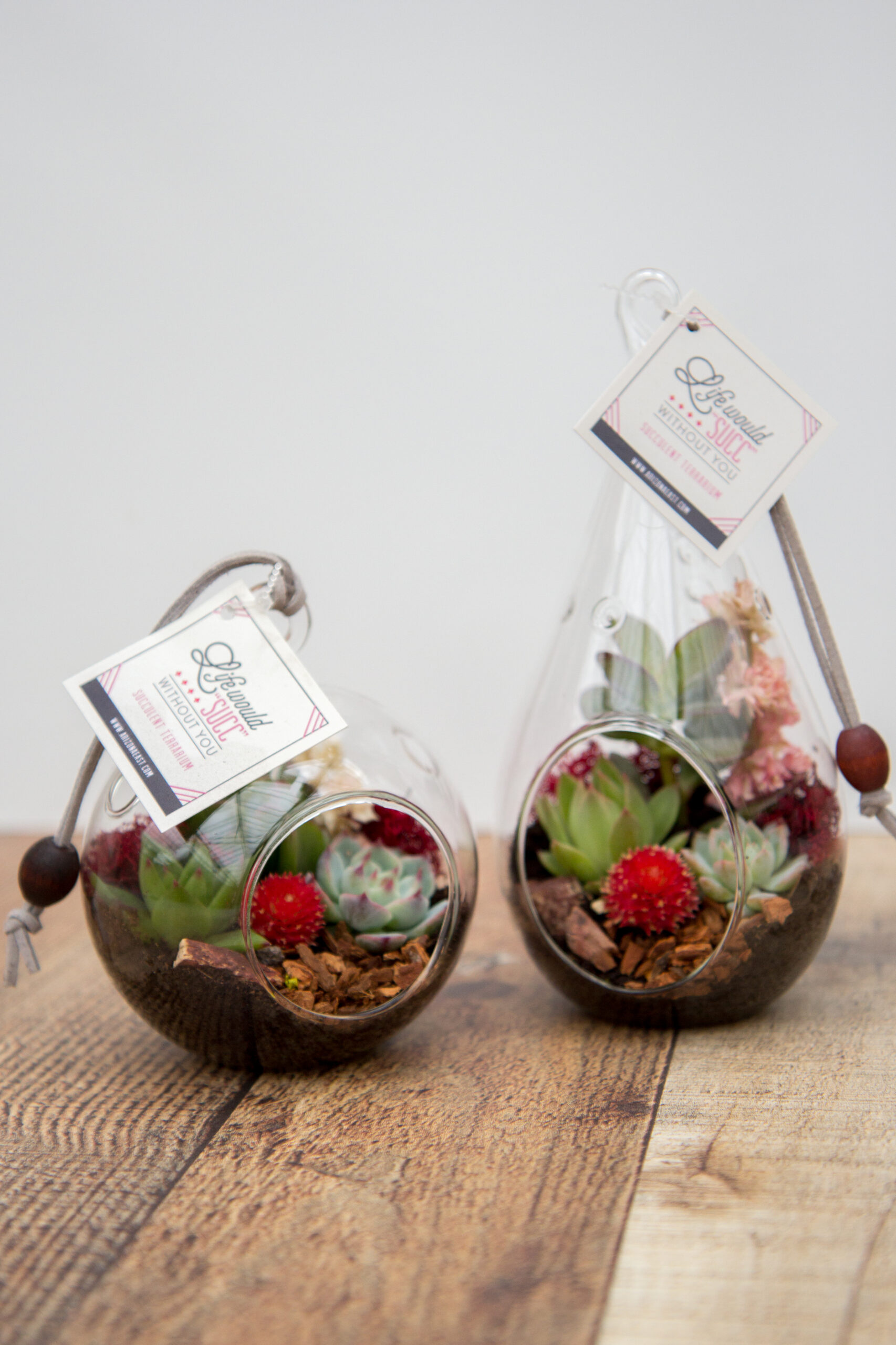 Everlasting Love Hanging Succulent Terrarium-image