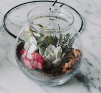 Freestanding Succulent Terrarium-image