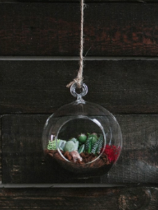 Hanging Globe Succulent Terrarium-image