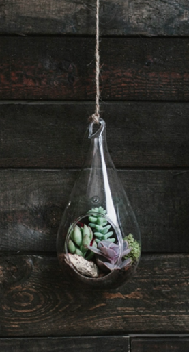 Hanging Teardrop Succulent Terrarium-image