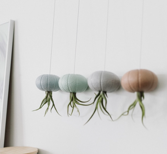 Hanging Tilly Jelly Fish Planter-image