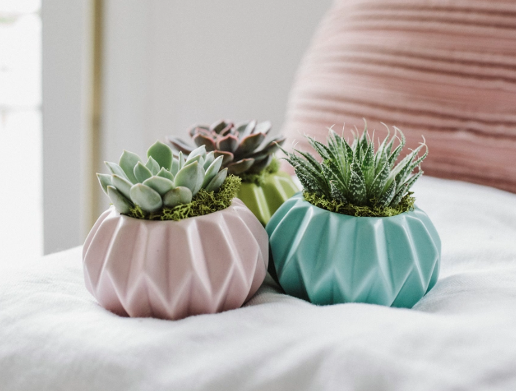Happy Hues Succulent Planter-image
