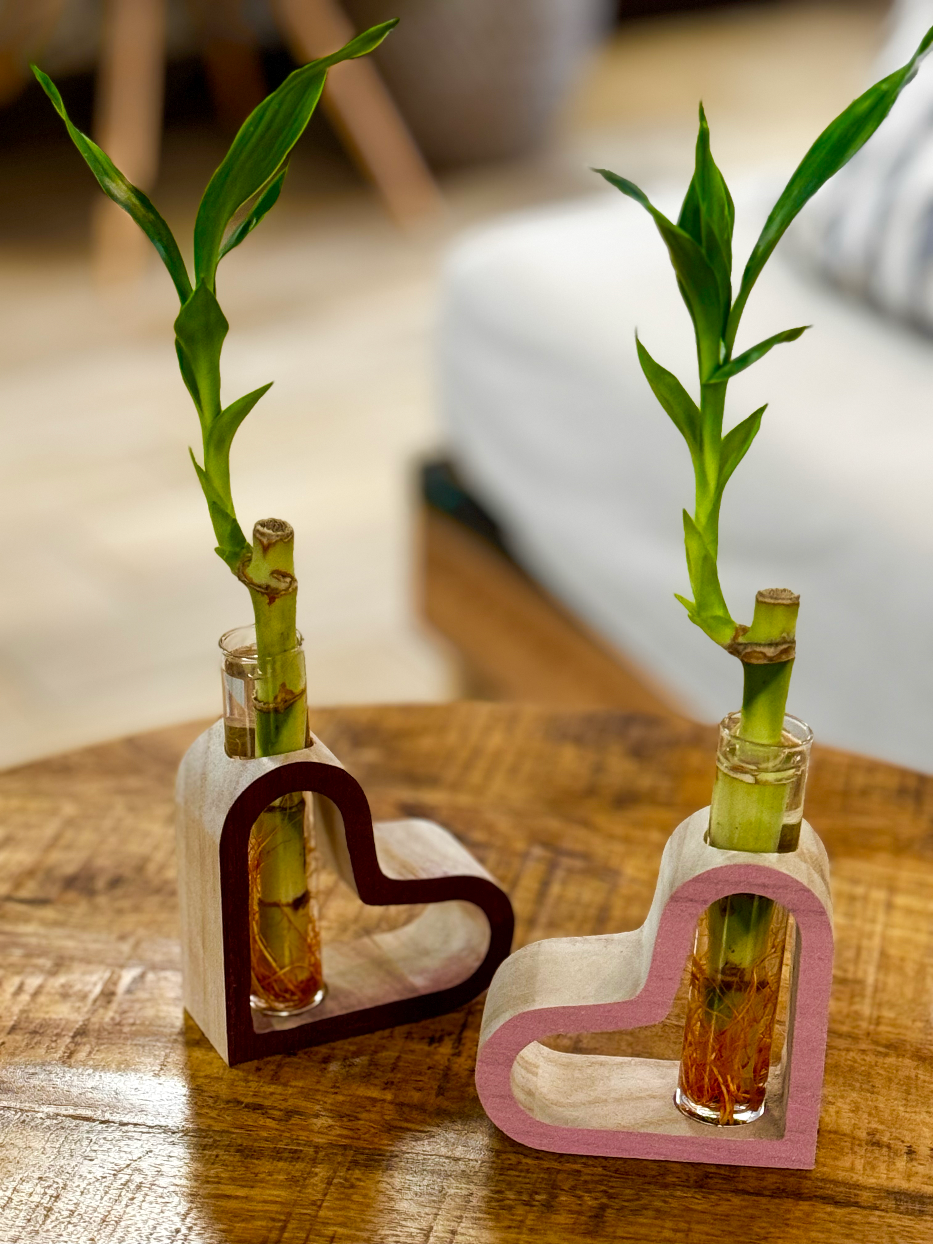 Heart Outline Bamboo Planter-image