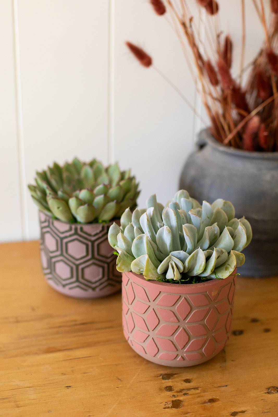 Kaleidoscope Succulent Planter-image