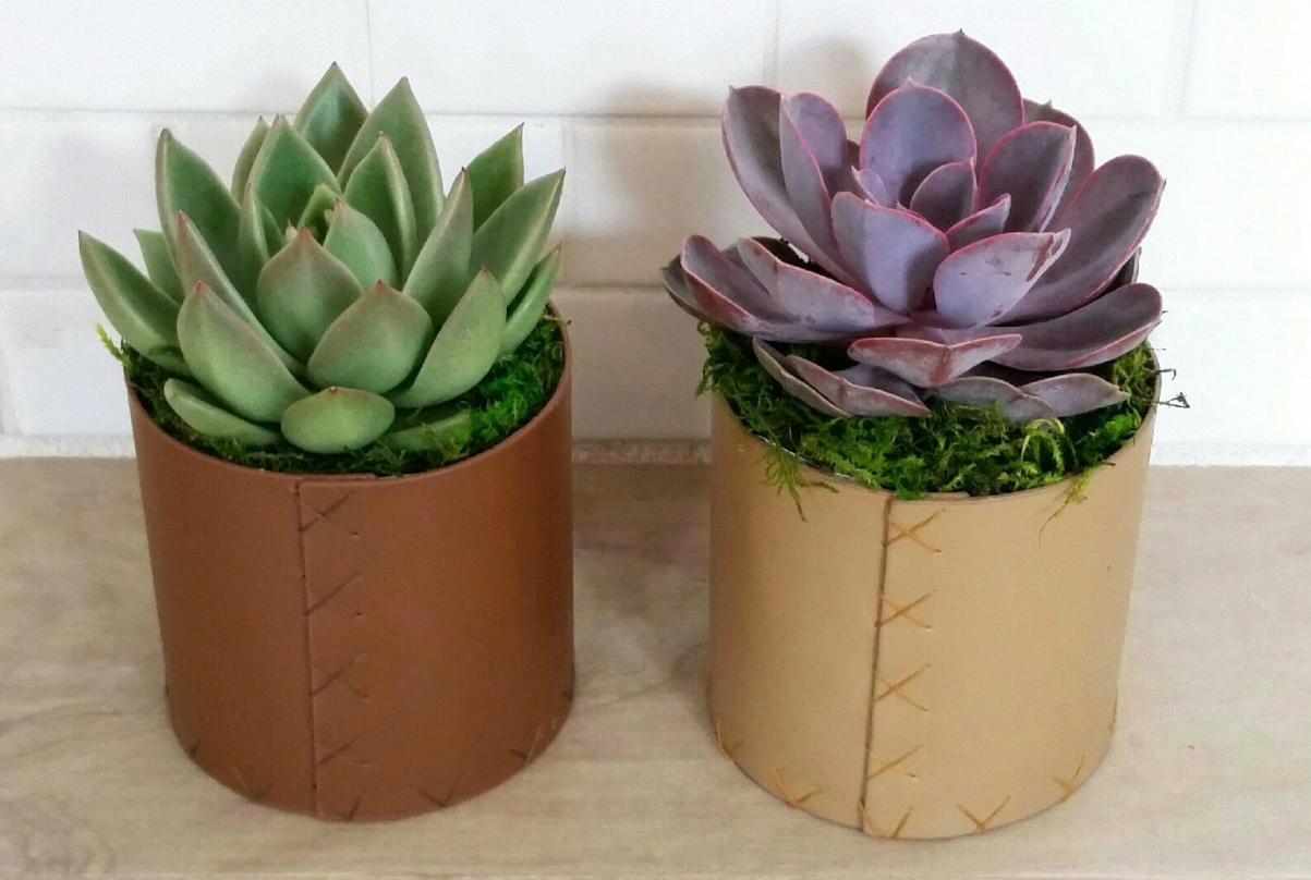 Leather Succulent Planter-image